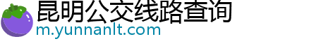 昆明公交线路查询